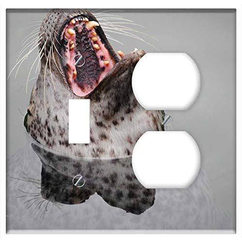 2-Gang  Toggle Outlet Combination Wall Plate Cover - Seal Robbe Head Teeth Tooth Zoo