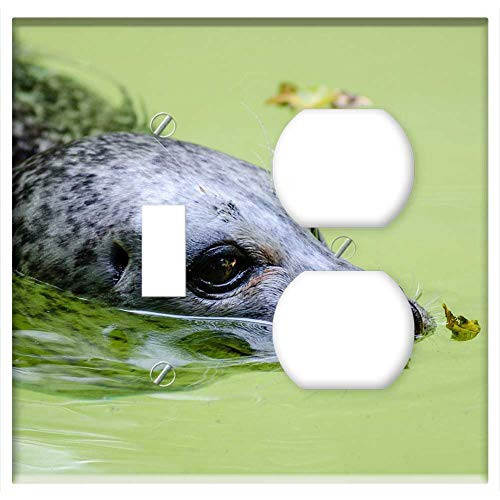 2-Gang Toggle Outlet Combination Wall Plate Cover - Harbor Seal Swimming Mammal Animal Aquatic 2-Gang Toggle Outlet Combination Wall Plate Cover - Harbor Seal Swimming Mammal Animal Aquatic