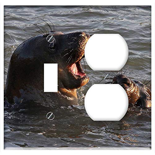 2-Gang  Toggle Outlet Combination Wall Plate Cover - Seals Swimming Water Ocean Sea Playing Portrait