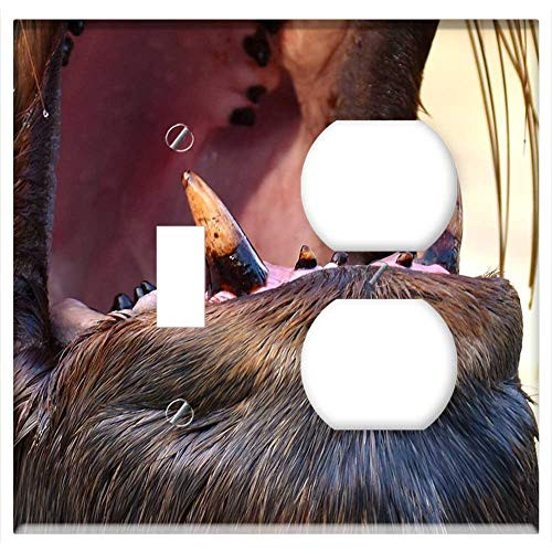 2-Gang Toggle Outlet Combination Wall Plate Cover - Seal Sea Lion Swim Water Robbe Meeresbewohner 11 2-Gang Toggle Outlet Combination Wall Plate Cover - Seal Sea Lion Swim Water Robbe Meeresbewohner 11