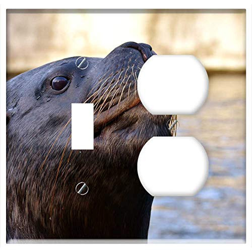 2-Gang Toggle Outlet Combination Wall Plate Cover - Seal Sea Lion Swim Water Robbe Meeresbewohner 7 2-Gang Toggle Outlet Combination Wall Plate Cover - Seal Sea Lion Swim Water Robbe Meeresbewohner 7