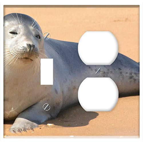 2-Gang  Toggle Outlet Combination Wall Plate Cover - Seal Harbor Seal Young Ocean Harbor Marine Water