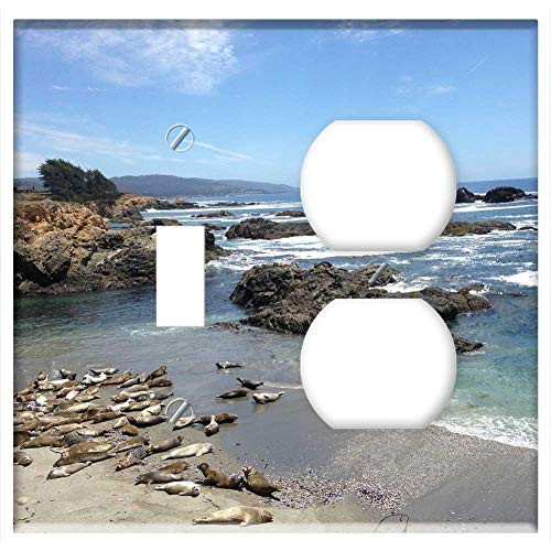 2-Gang  Toggle Outlet Combination Wall Plate Cover - Harbor Seals Pacific Ocean Sea Ranch Coast Beach