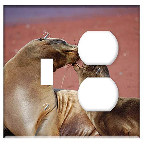 2-Gang Toggle Outlet Combination Wall Plate Cover - Sea Lion Beach Sand Sea Ocean Water Seal Mammal 2-Gang Toggle Outlet Combination Wall Plate Cover - Sea Lion Beach Sand Sea Ocean Water Seal Mammal