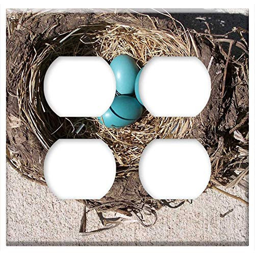 Double Duplex Outlet Wall Plate Cover - Egg Nest Bird Robin Birth Spring Life Baby