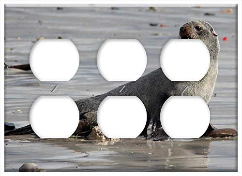 Triple Duplex Outlet Wall Plate Cover - Seal Sea Beach Water Sand Ocean Animal Nature