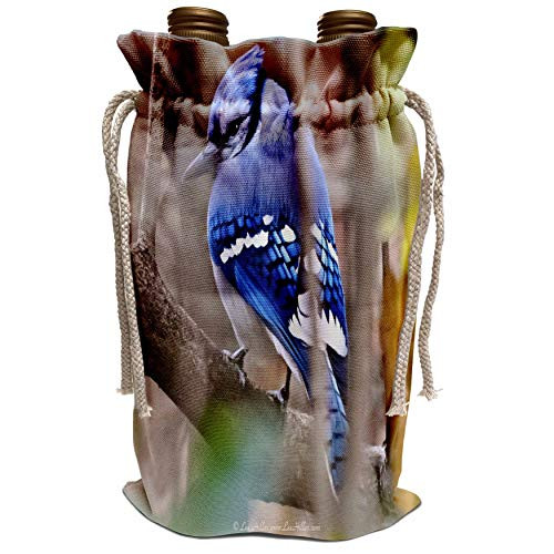3dRose Lee Hiller Photography Hot Springs National Park Wildlife - Birds Shy Blue jay - Wine Bag wbg_18039_1 3dRose Lee Hiller Photography Hot Springs National Park Wildlife - Birds Shy Blue jay - Wine Bag wbg_18039_1