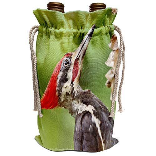 3dRose Lee Hiller Photography Hot Springs National Park Wildlife - Juvenile Pileated Woodpecker - Wine Bag wbg_22868_1 3dRose Lee Hiller Photography Hot Springs National Park Wildlife - Juvenile Pileated Woodpecker - Wine Bag wbg_22868_1