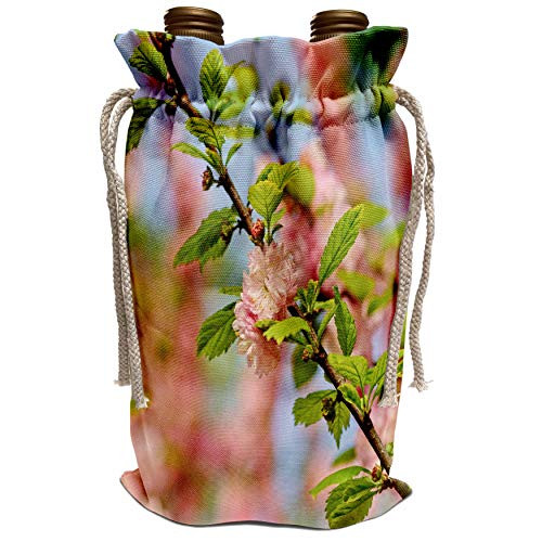 3dRose Alexis Photography - Flowers Prunus Triloba - Flowers of a flowering plum prunus triloba in spring green leaves - Wine Bag wbg_312407_1 3dRose Alexis Photography - Flowers Prunus Triloba - Flowers of a flowering plum prunus triloba in spring green leaves - Wine Bag wbg_312407_1