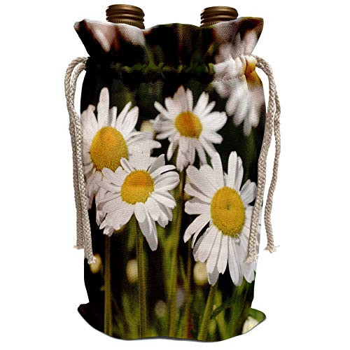 3dRose PS Flowers - Daisy Garden - Spring Flowers - Floral Print - Wine Bag  wbg_54485_1