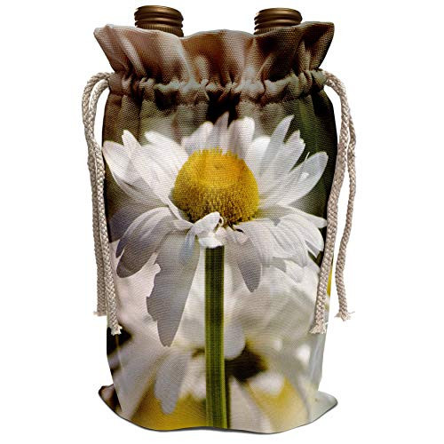 3dRose PS Flowers - Pretty Daisy - Spring Floral Print - Flowers - Wine Bag  wbg_57834_1