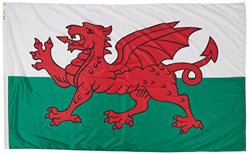 Annin Flagmakers Model 221119 Wales Flag Nylon SolarGuard NYL-Glo, 5x8 ft, 100% Made in USA to Official United Nations Design Specifications Annin Flagmakers Model 221119 Wales Flag Nylon SolarGuard NYL-Glo, 5x8 ft, 100% Made in USA to Official United Nations Design Specifications