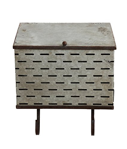 Creative Co-Op DA7561 Grange Metal Wall Container with Hooks