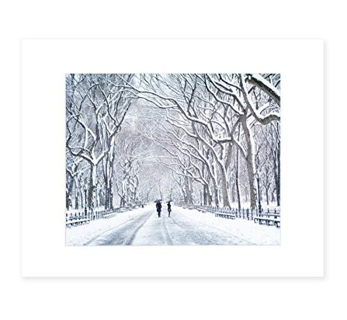 New York City Wall Art  Central Park in Snow  NYC Decor  8x10 Matted Photographic Print fits 11x14 frame   The Mall In Winter