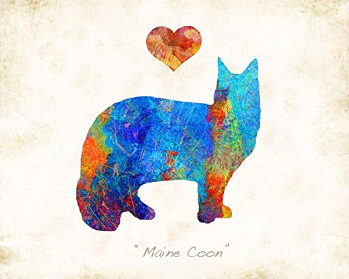 Maine Coon Cat Breed Watercolor Art Print by Dan Morris