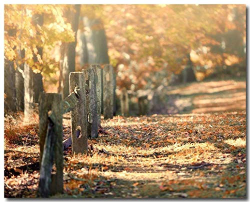 Autumn Fence Landscape Photograph  Not Framed   Fall Decor  Leaves Fence  Yellow Gold Red Russet Bronze. 8x10  11x14 or 16x20.  FBML