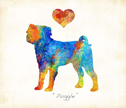 Puggle Dog Breed Watercolor Art Print by Dan Morris