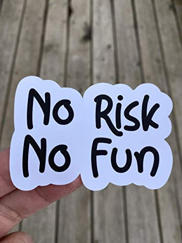No Risk No Fun Sticker  Laptop Sticker  Water Bottle Sticker  Phone Sticker  Window Sticker  Thrill Sticker  Risk Sticker