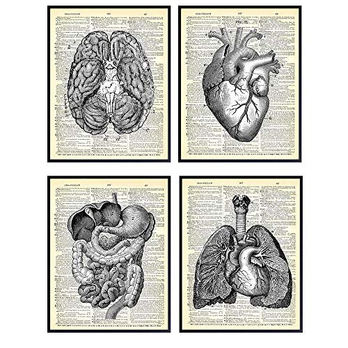 Heart  Lungs  Brain  Intestine Anatomy Organs - Upcycled Dictionary Wall Art Prints for Medical Clinic  Office - 8x10 Vintage Steampunk Goth Decor Set - Gift for Doctor  Nurse  Med School  Student