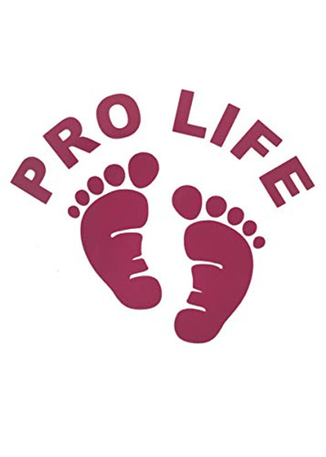Custom Baby Footprints Pro Life Vinyl Decal - Anti Abortion Bumper Sticker  for Tumblers  Laptops  Car Windows  Life Decal