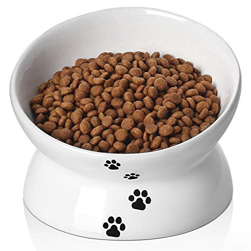 Y YHY Cat Bowl Raised Cat Food Bowls Anti Vomiting Tilted Elevated Cat Bowl Ceramic Pet Food Bowl for Flat Faced Cats Small Dogs Protect Pet s Spine Dishwasher Safe Y YHY Cat Bowl Raised Cat Food Bowls Anti Vomiting Tilted Elevated Cat Bowl Ceramic Pet Food Bowl for Flat Faced Cats Small Dogs Protect Pet s Spine Dishwasher Safe