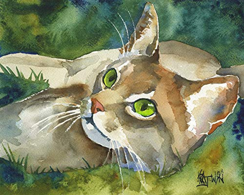 Abyssinian Cat Art Print   Abyssinian Cat Gifts   From Original Watercolor Painting by Ron Krajewski   Hand Signed in 8x10 and 11x14 Sizes