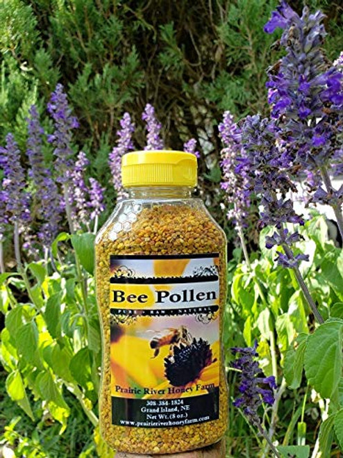 Fresh Bee Pollen Pure Raw Natural Nebraska Bee Pollen 8oz Jar Fresh Bee Pollen Pure Raw Natural Nebraska Bee Pollen 8oz Jar
