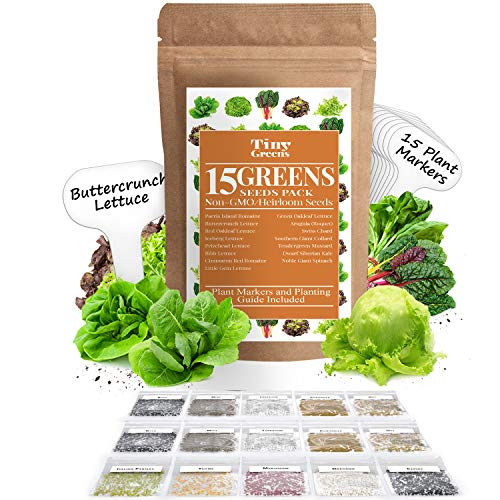 15 Heirloom Lettuce and Leafy Vegetable Seeds 4000 Plus Seeds Non GMO Bulk Lettuce Seeds for Planting - Kale Spinach Arugula Oak Romaine Iceberg Butter Hydroponic Home Garden Indoor Outdoor 15 Heirloom Lettuce and Leafy Vegetable Seeds 4000 Plus Seeds Non GMO Bulk Lettuce Seeds for Planting - Kale Spinach Arugula Oak Romaine Iceberg Butter Hydroponic Home Garden Indoor Outdoor