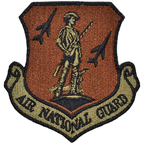 Air National Guard Patch - USAF OCP Scorpion