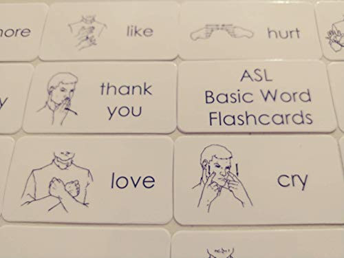 23 Laminated Beginning Preschool Level American Sign Language Flashcards.