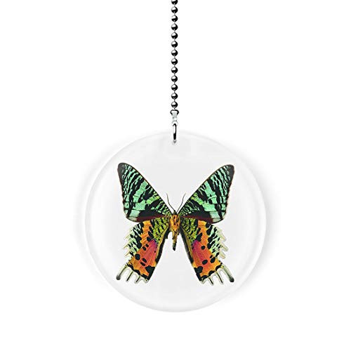 Magnificent Butterfly Fan Light Pull
