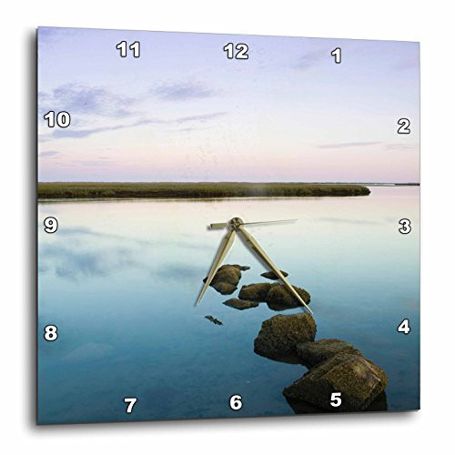 3dRose DPP_91003_1 Ma, Cape Cod National Seashore, Salt Pond Bay-Us22 Wbi0513-Walter Bibikow-Wall Clock, 10 by 10-Inch