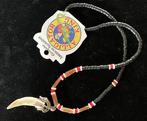 Alligator Tooth  and  Shell Necklace 12 Gator Louisiana Teeth Voodoo Bayou Swamp