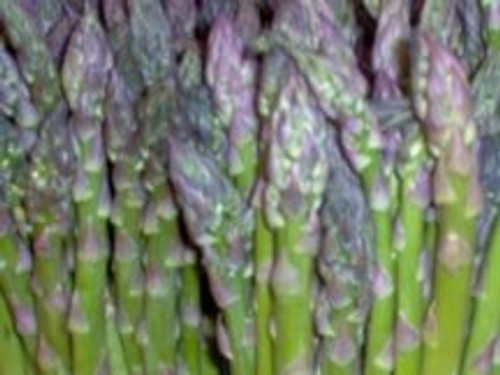 Asparagus- Mary Washington- 50 Plus Seeds- Heirloom  Non-GMO Variety
