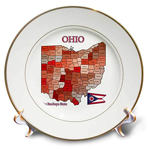 3dRose cp_205189_1 Map, Flag & Nickname of Ohio with All Counties Colored & Labeled Porcelain Plate, 8"