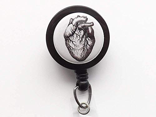 Anatomical Heart Badge Reel Retractable ID Holder Student Teacher Doctor Male Nurse Medical Graduation Anatomy Gift