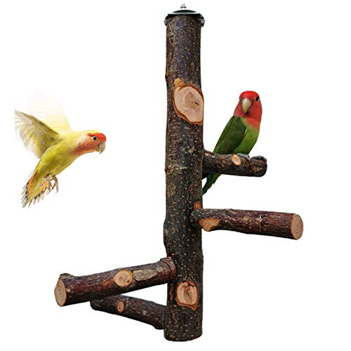 kathson Bird Perch Natural Apple Wood Stand Toy Branch Paw Grinding Standing Climbing Toy Cage Accessories for Small and Medium Parrots Parakeets Lovebirds African Grey Cockatiels kathson Bird Perch Natural Apple Wood Stand Toy Branch Paw Grinding Standing Climbing Toy Cage Accessories for Small and Medium Parrots Parakeets Lovebirds African Grey Cockatiels