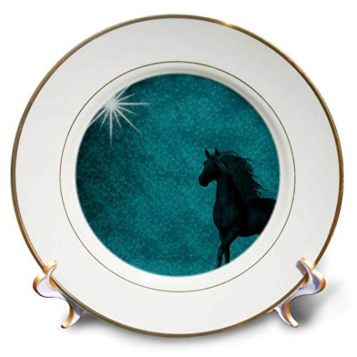 3dRose cp_164692_1 Beautiful Horse Aqua Grunge Sky Porcelain Plate, 8"