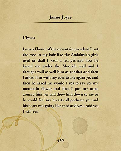 James Joyce Ulysses Quote - Wall Decor Art Print - 8x10 unframed typography book page print - great gift for book and literary fans