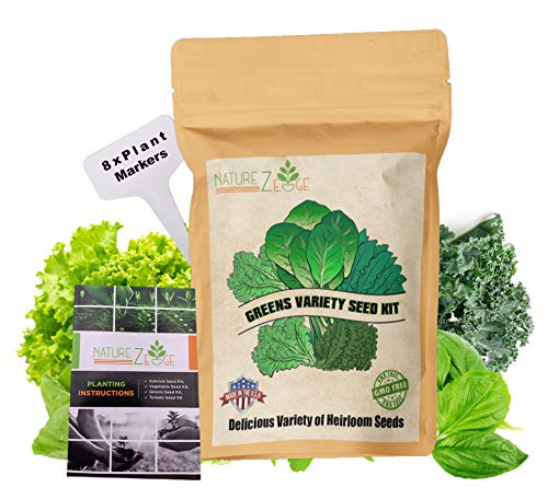 Heirloom Lettuce and Greens Seeds  8 Varieties  5300 Seeds  Lettuce  Kale  Arugula  Spinach  Collards  Non-GMO