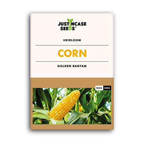 Justincase Seeds Corn Seed Packet - Golden Bantam Seeds for Planting - Non-GMO Heirloom Vegetable Seeds with Instructions for Planting at Home