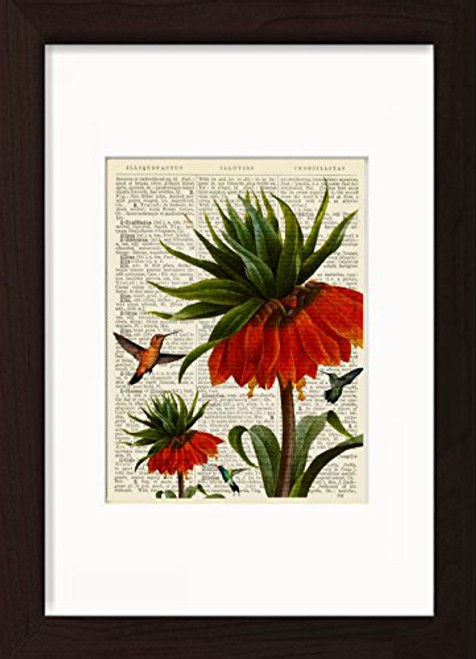 Hummingbirds With Red Flower Mounted   Matted Dictionary Art Ready To Frame Print