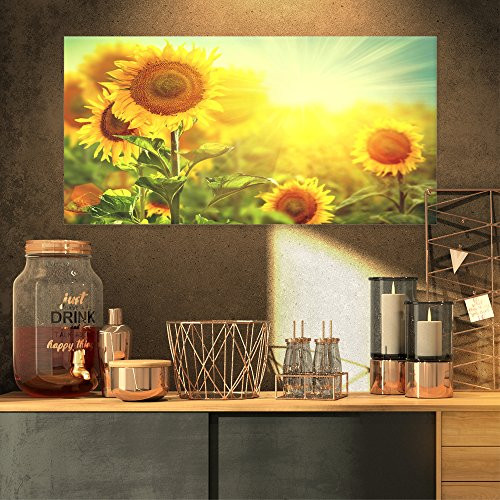 Sunflowers blooming on the field Large Animal on Canvas Art Wall Photgraphy Artwork Print Sunflowers blooming on the field Large Animal on Canvas Art Wall Photgraphy Artwork Print