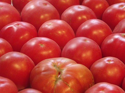 75 Plus German Johnson Tomato Seeds- Heirloom Variety