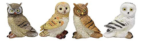 Ebros Colorful Nocturnal Owls of The World Miniature Figurine Set of 4 Whimsical Forest Owl Bird Themed Accent Snow Barn Great Horned Species Hand Painted Resin Sculptures