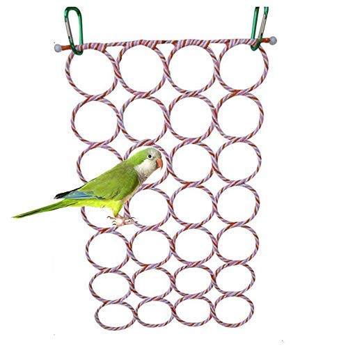 Old Tjikko Bird Swing Parrot Cage Toys Swing Hanging Play with Mirror for Macaw African Greys Parakeet Cockatoo Cockatiel Conure Lovebirds Canaries Bird Perch Old Tjikko Bird Swing Parrot Cage Toys Swing Hanging Play with Mirror for Macaw African Greys Parakeet Cockatoo Cockatiel Conure Lovebirds Canaries Bird Perch
