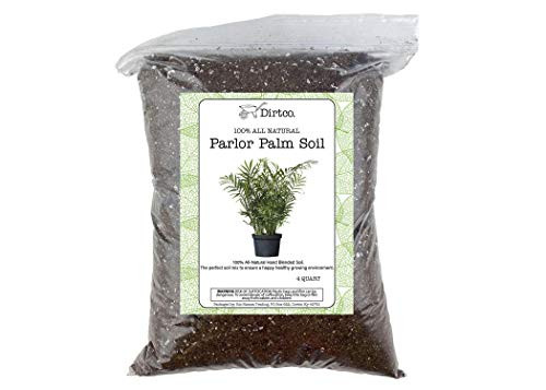 Soil Mixture for Parlor Palm Plants  Specialized Soil Mix Plant or Re-Pot Your Parlor Palm Plant  4qt