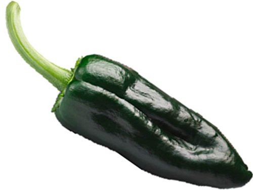 Ancho Poblano Pepper Seed Mild Hot Plant Tex Mex Cook  60  65 Seeds  or 1 2 Gram