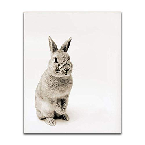 Bunny Rabbit Nursery Wall Art Print Woodland Creatures Baby Animal Decor 8x10 Unframed