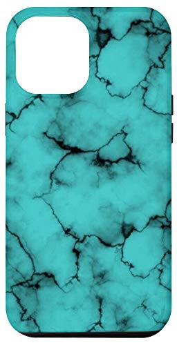 iPhone 12 Pro Max Turquoise Rock Country Chic Western Trendy Boho Cowgirl Gift Case